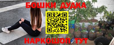 винт Будённовск